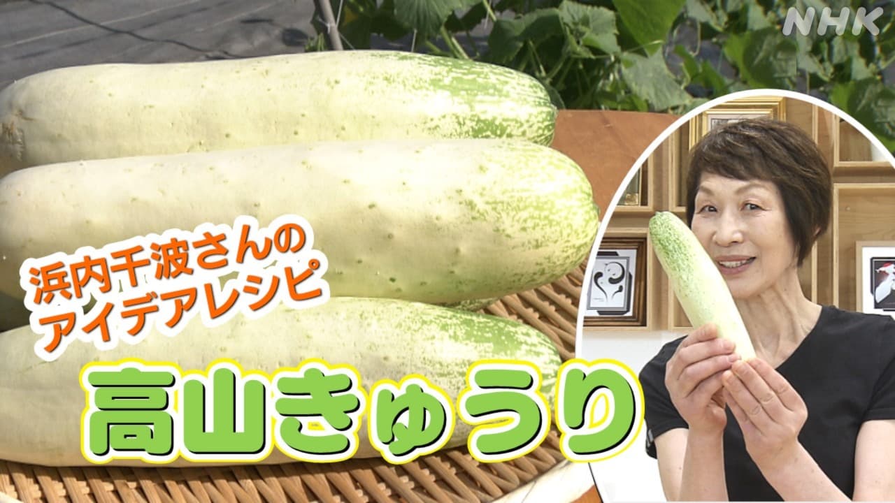 NHK『おはよう日本』くらしりスペシャル「高山きゅうり」|浜内千波の